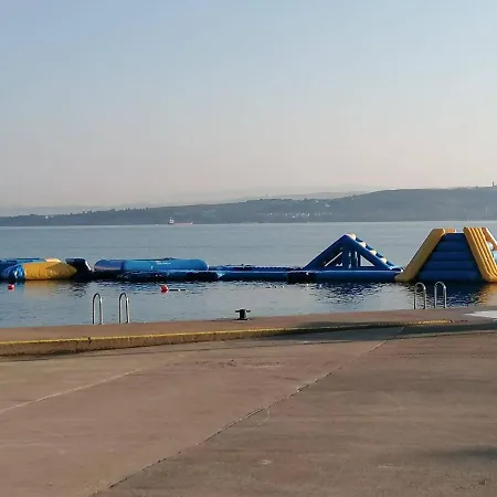 Molet Koper